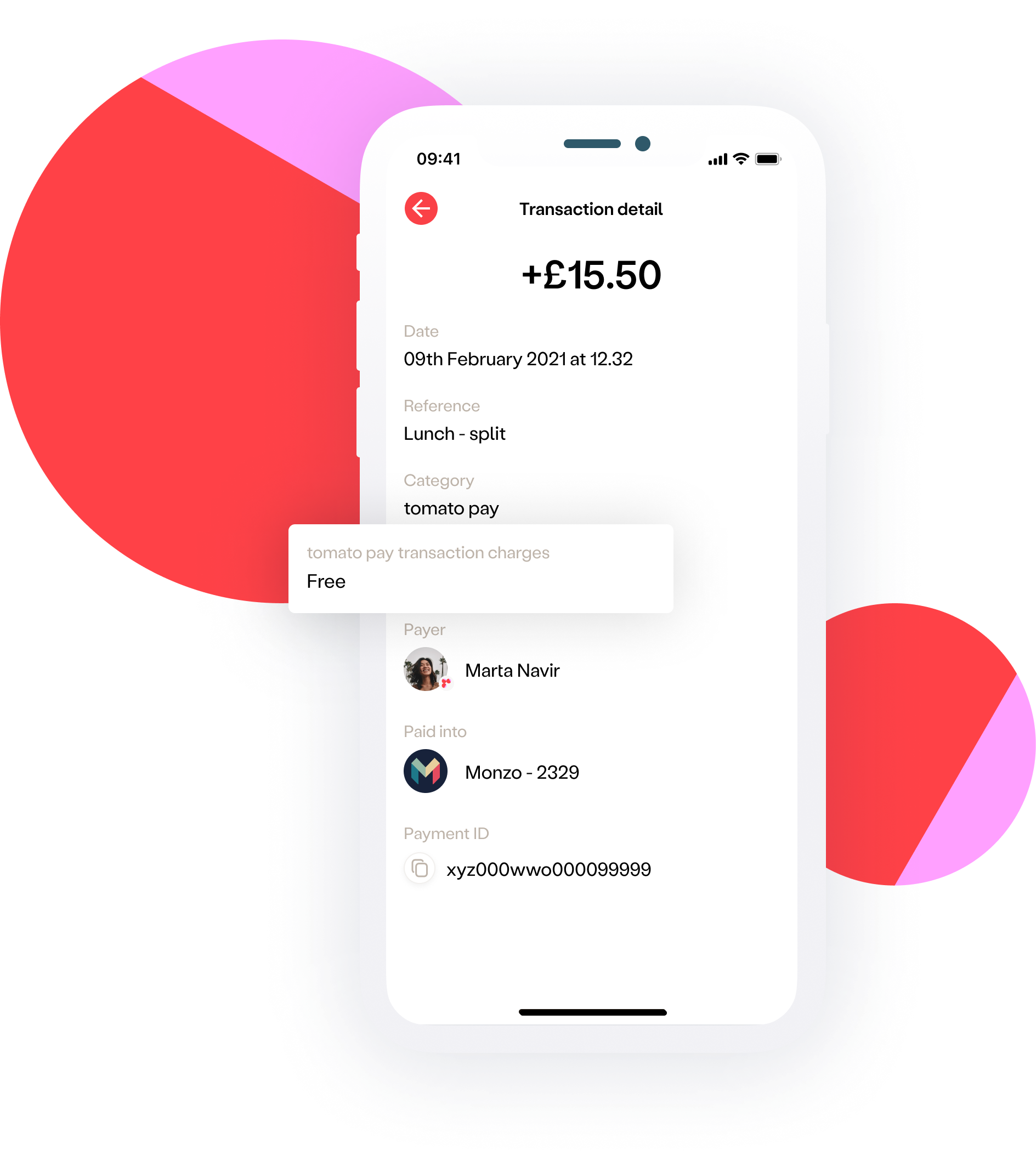 tomato pay_website_mockup_1